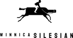 Winnica Silesian